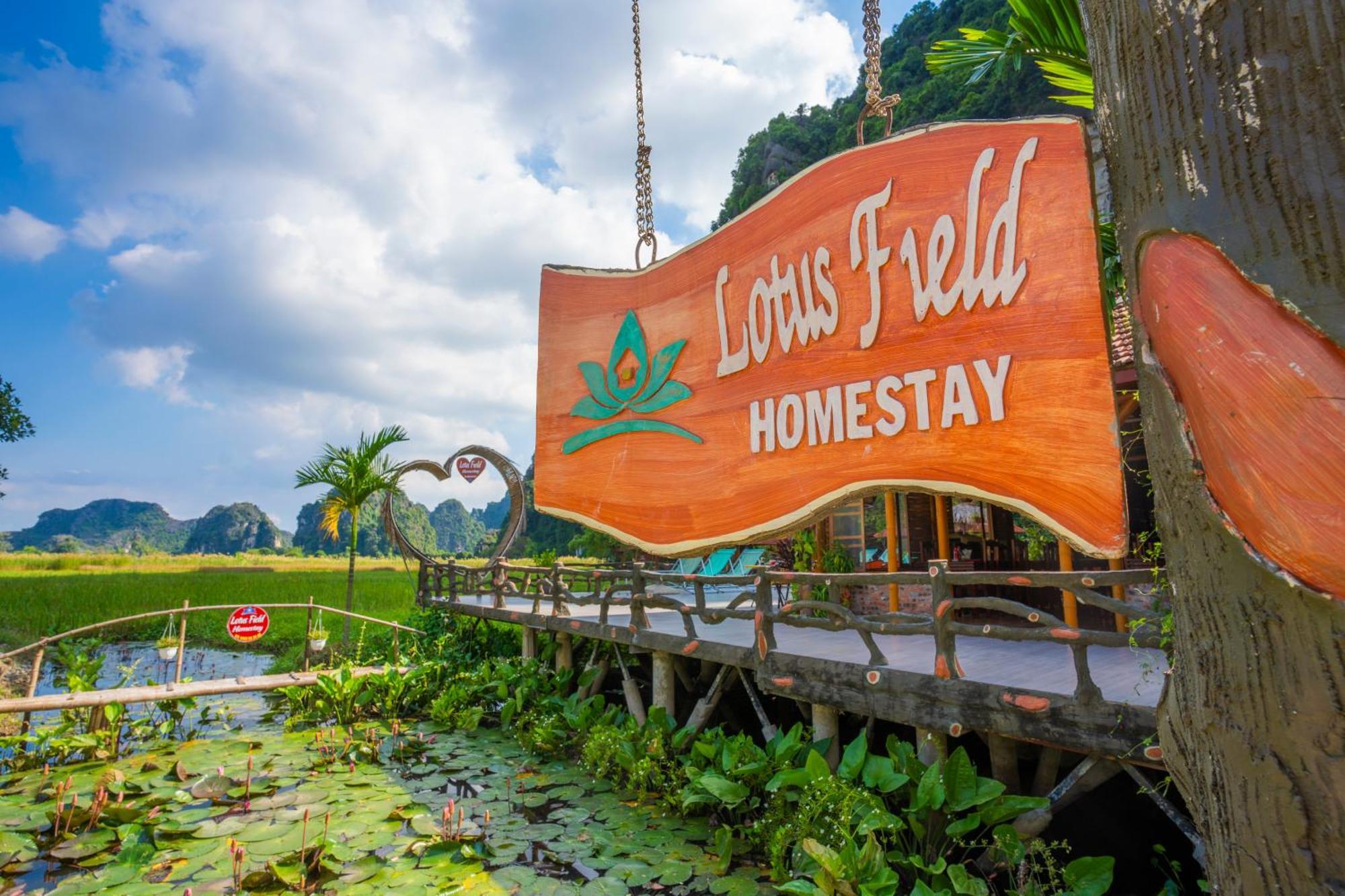 Lotus Field Homestay Ninh Bình Extérieur photo